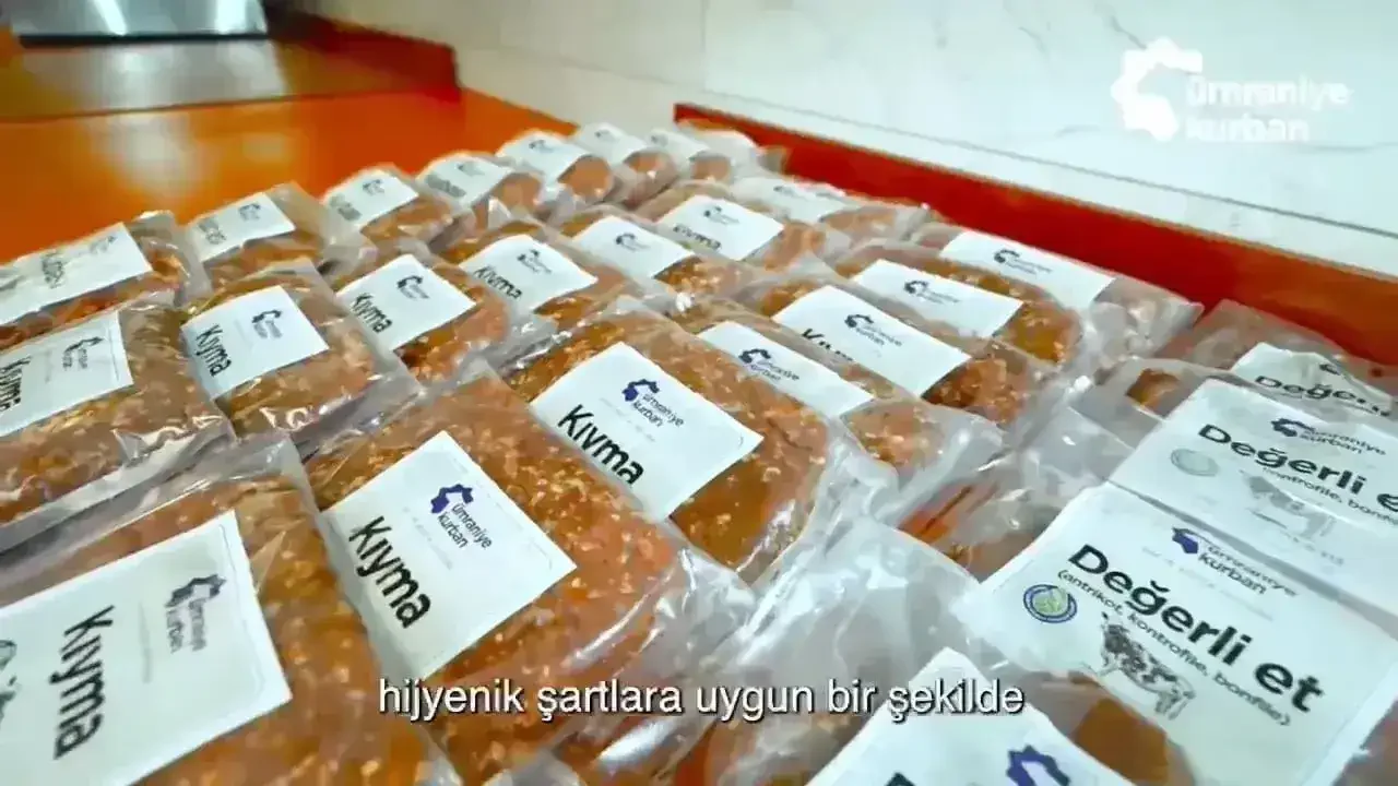 İstanbul kurbanlık büyükbaş dana — 2026 kurban kesim ve hisse satışı